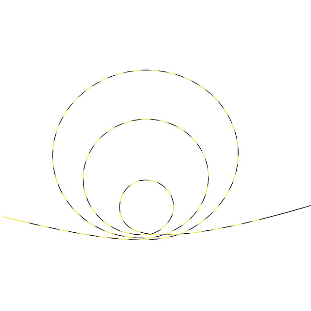زيبرا غويدوير